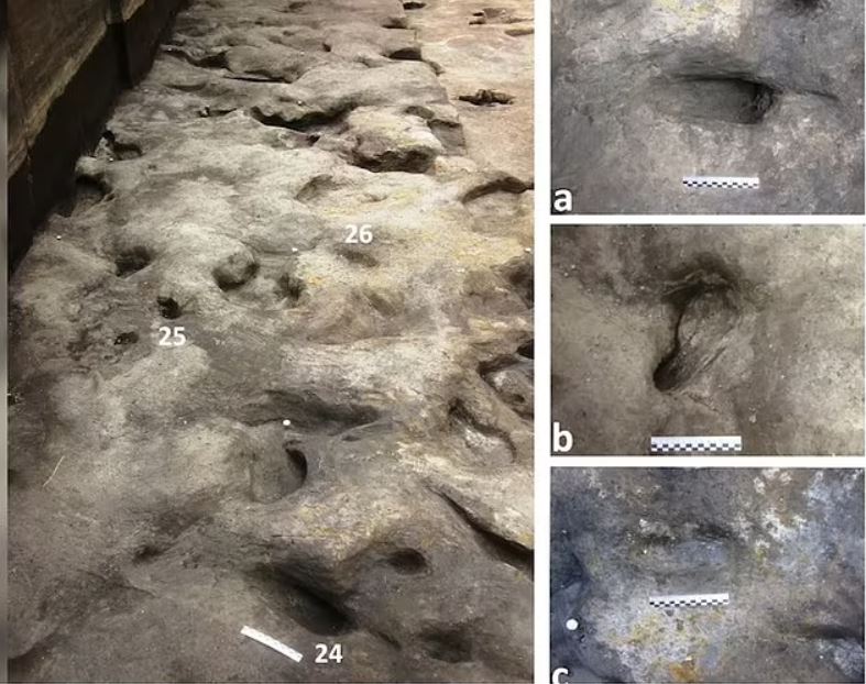 En Alemania se descubrieron huellas perfectamente conservadas de una pequeña familia de "pueblo de Heidelberg", una especie humana extinta hace mucho tiempo