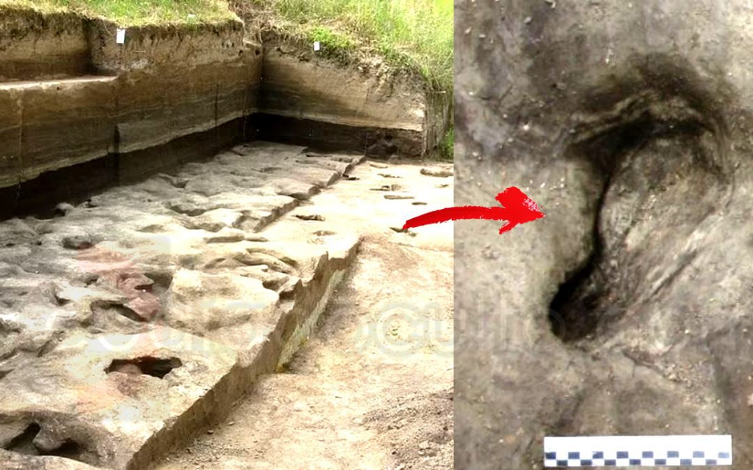 Descubren la huella humana más antigua: del extinto “pueblo de Heidelberg”, de 300.000 años