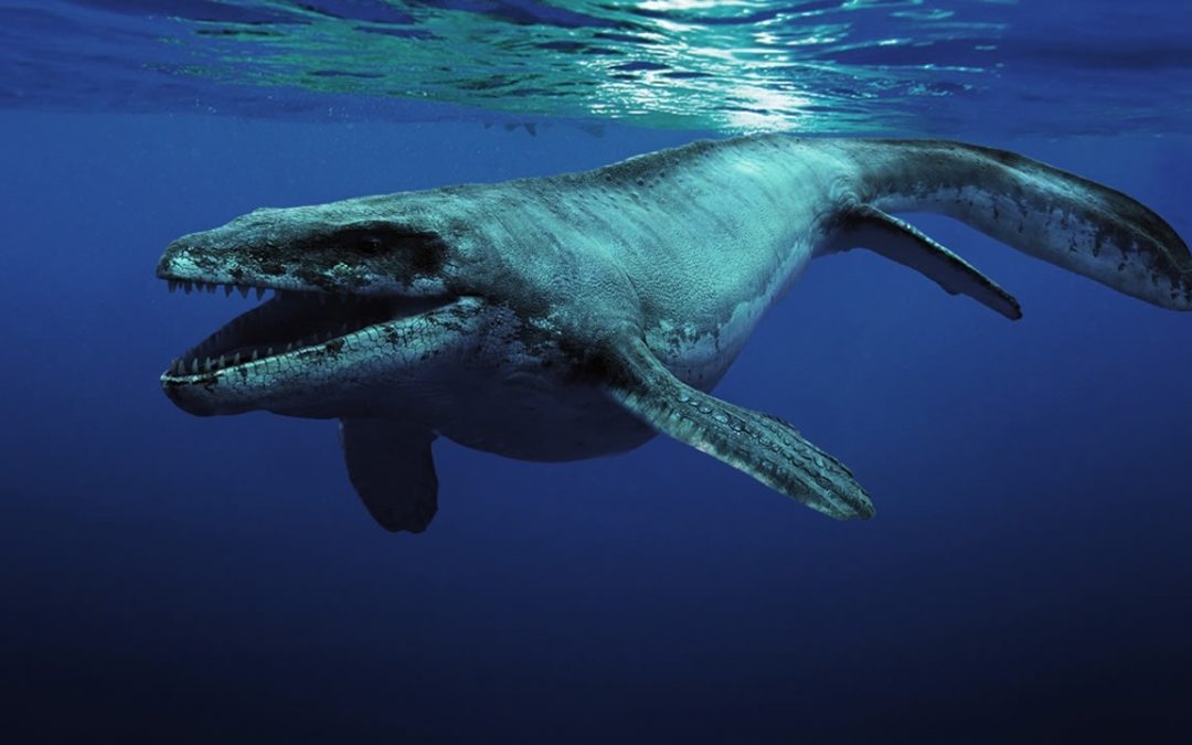 Hallado enorme “reptil marino” prehistórico dos veces más grande que una orca, revelan fósiles