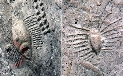 Al Jassasiya: misteriosos símbolos antiguos grabados en roca en Qatar