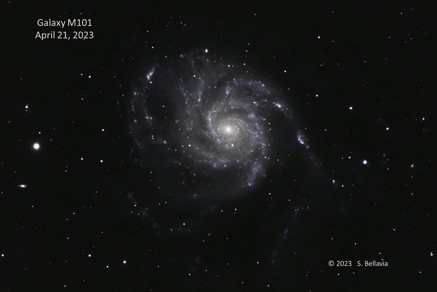 El astrofotógrafo Steven Bellavia, produjo esta animación compuesta de la Galaxia Molinete utilizando una imagen tomada el 21 de abril y comparándola con otra imagen tomada el 21 de mayo, que muestra claramente la aparición de la supernova