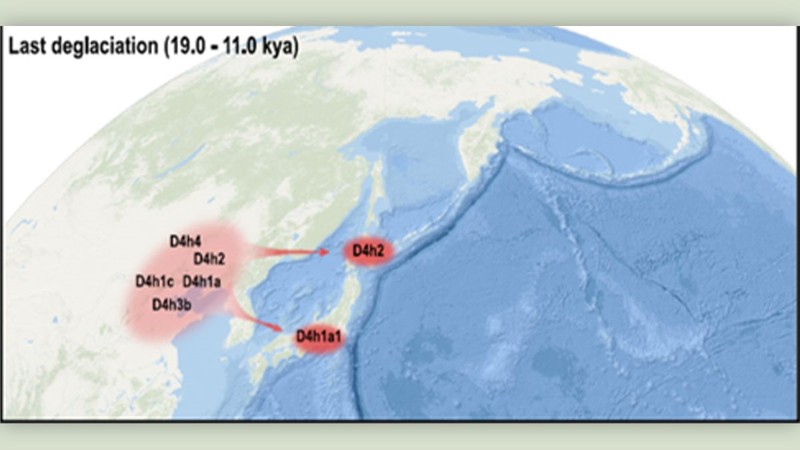 Durante la última deglaciación (hace 19. 000 a 11. 500 años), la gente probablemente viajó desde lo que ahora es el norte de china a japón.