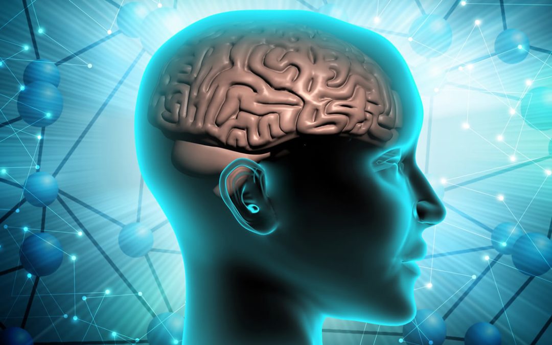 Descubren misteriosas “señales en espiral” en el cerebro humano