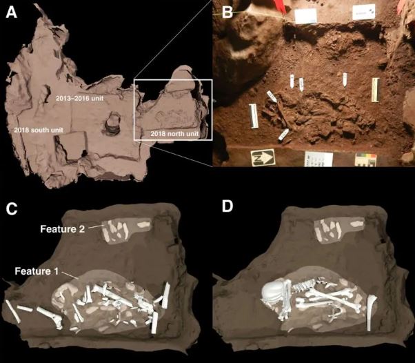 Dos entierros descubiertos en la Cámara Dinaledi de la cueva Rising Star. Un cuerpo pertenecía a un Homo naledi adulto, y el otro era un juvenil