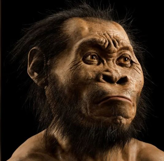 Reconstrucción de la cabeza del Homo naledi realizada por el paleoartista John Gurche.