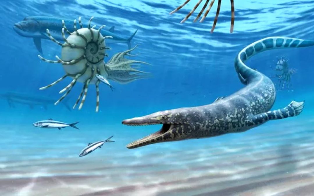 Hallado el fósil más antiguo de un reptil marino de hace 94 millones de años