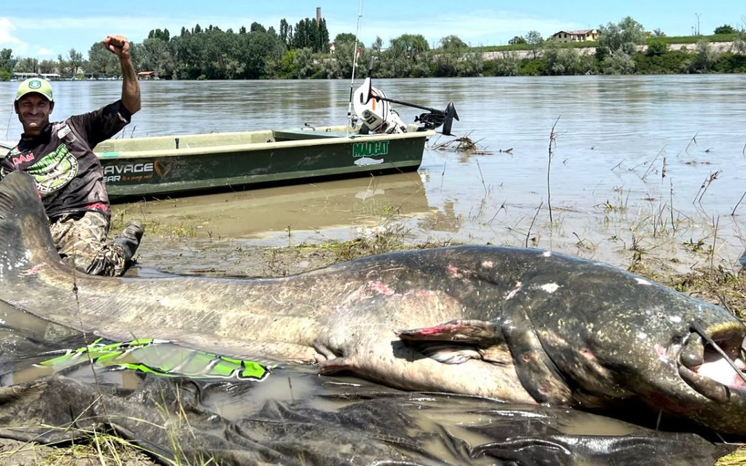 Pescador captura un pez enorme con apariencia “prehistórica” en Italia