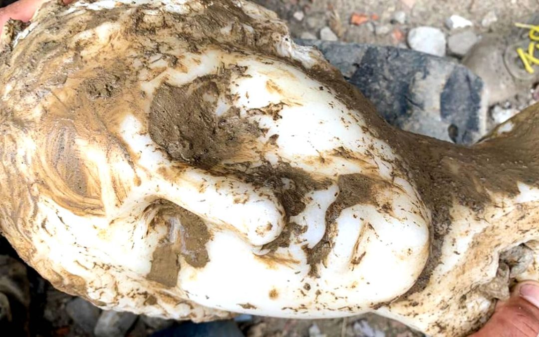 Obreros de construcción hallan cabeza de mármol intacta en Roma. Podría representar a Afrodita