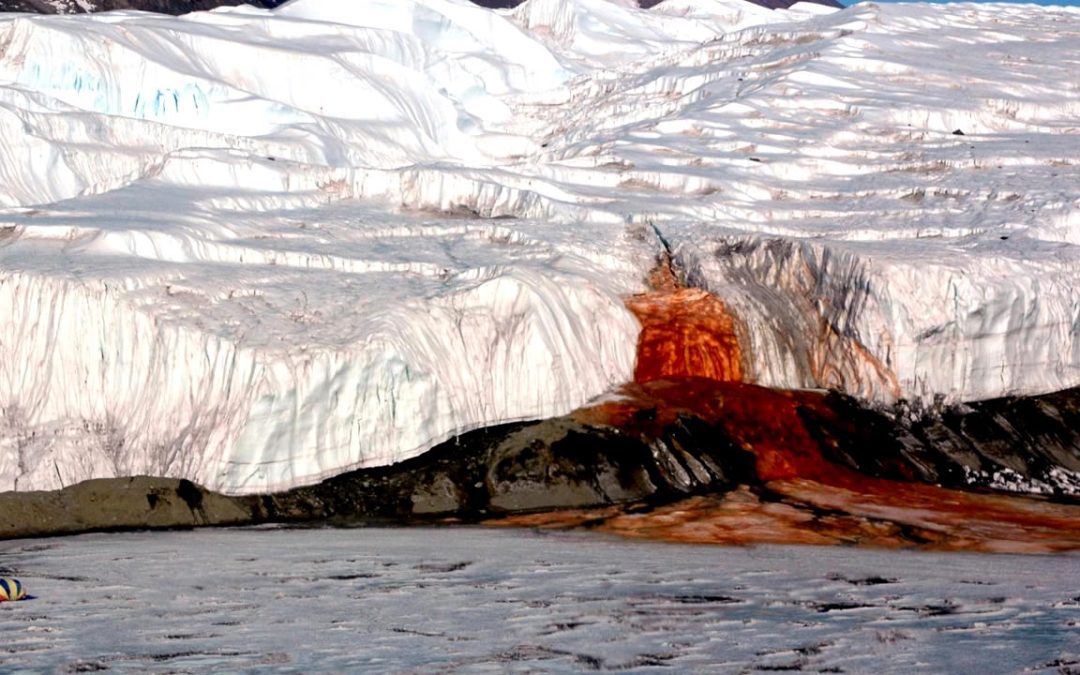 ¿Antártida está sangrando? Revelan misterio de las “cataratas de sangre” antárticas