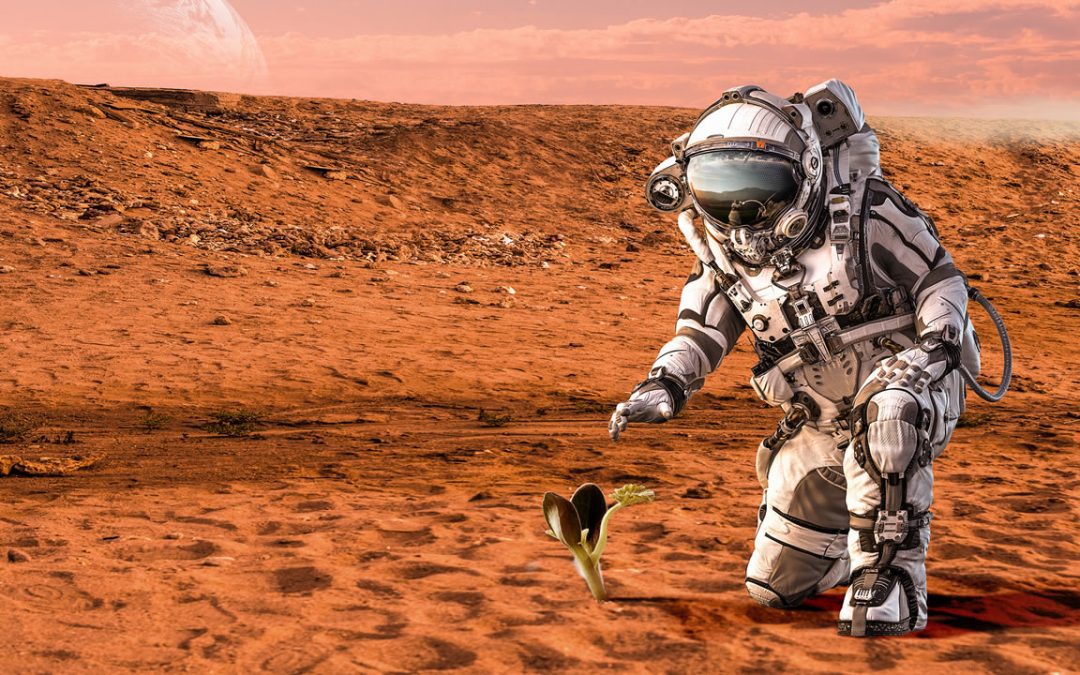 Descubren más evidencias de que pudo existir vida en Marte