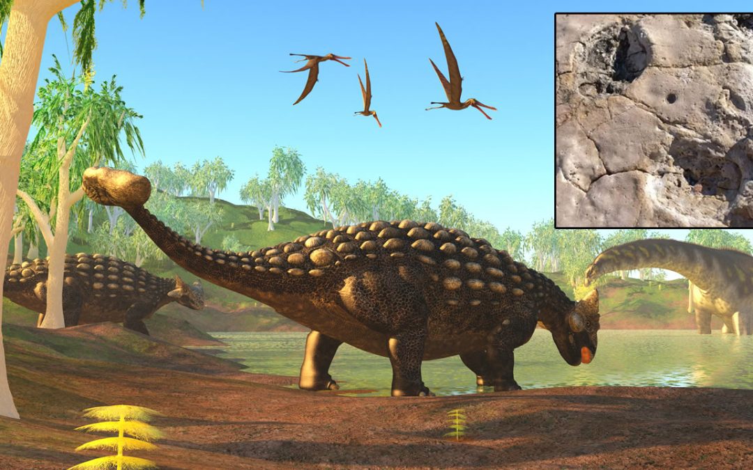 Geólogo descubre huellas de dinosaurio de 100 millones de años