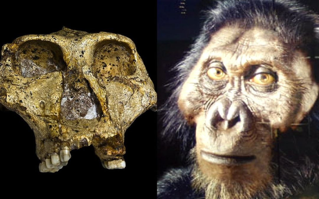 Identifican especies humanas “outsider” en el estudio genético más antiguo realizado
