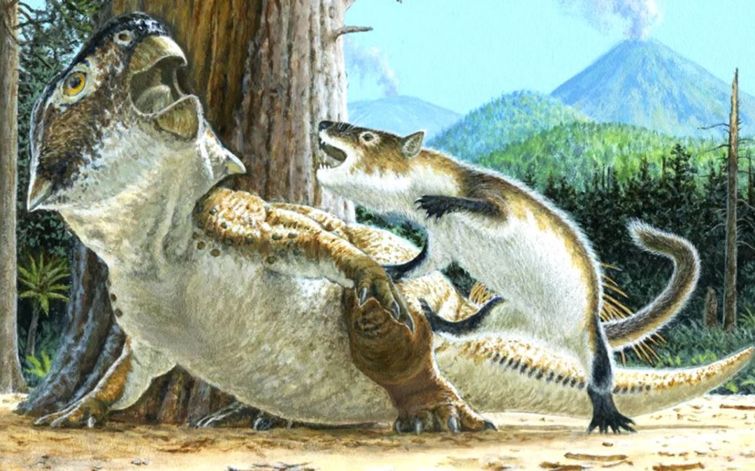 ¿Sabías qué existió un mamífero que cazaba dinosaurios? Un fósil hallado lo demuestra