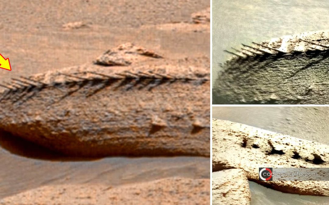¿Se estrelló una “nave extraterrestre” en Marte? Estudio no descarta que se trate de los restos de un objeto volador