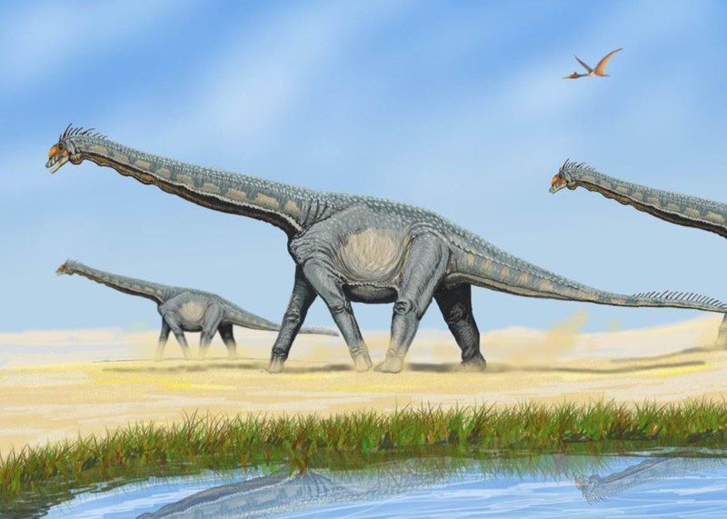 Representación artística de saurópodos titanosaurios