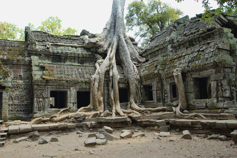 Ta Prohm, Angkor Wat, Camboya ha dado lugar a varias teorías de conspiración