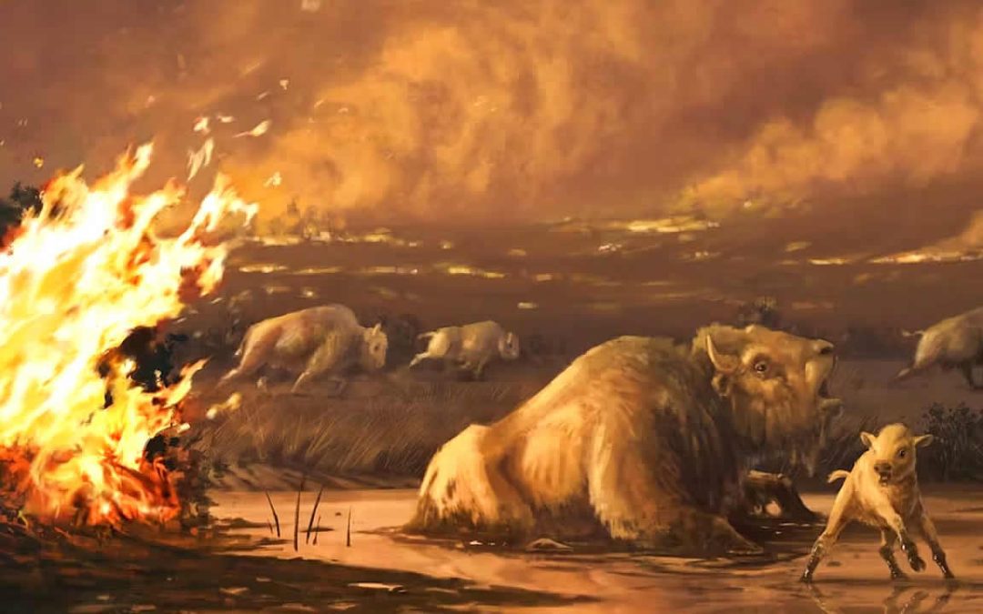 Un antiguo incendio exterminó especies enteras. Científicos temen que vuelva a ocurrir