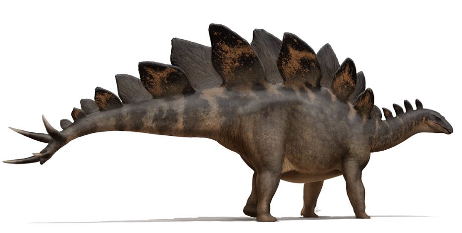 Representación artística de un estegosaurio