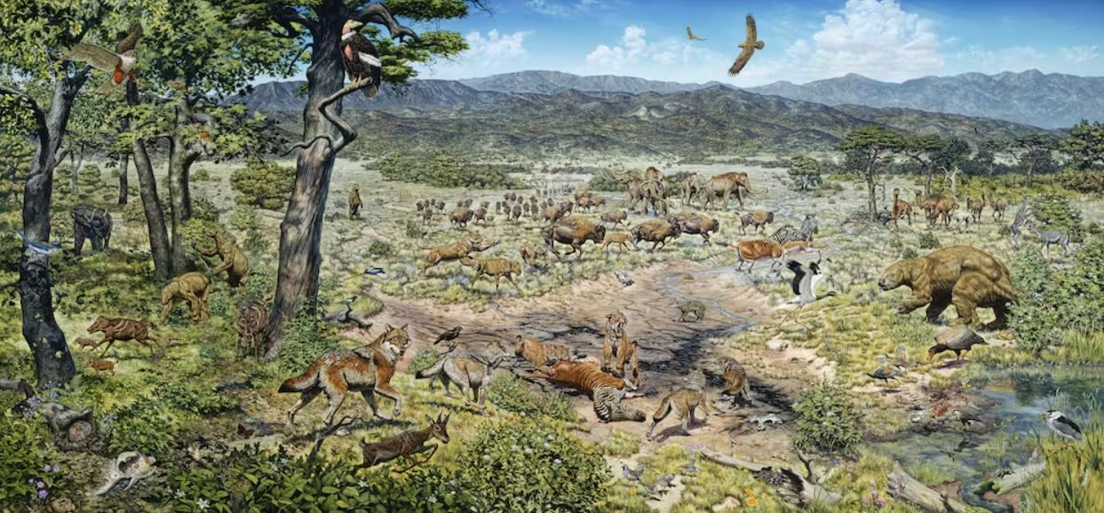Este mural, llamado "Trapped in Time", muestra parte de la megafauna que deambulaba por Los Ángeles durante la época del Pleistoceno. La mayoría de estas especies se extinguieron durante un evento de extinción global al final de la época