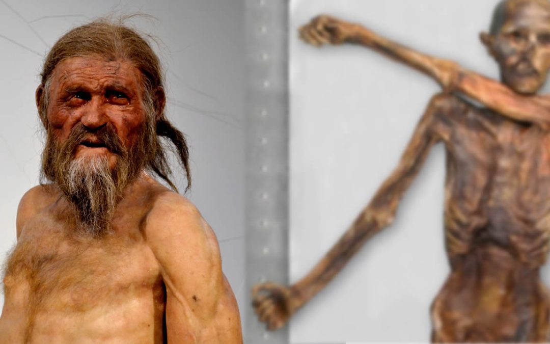 La momia de Ötzi, el hombre de hielo, era calva y tenía la piel más oscura de lo que se pensaba