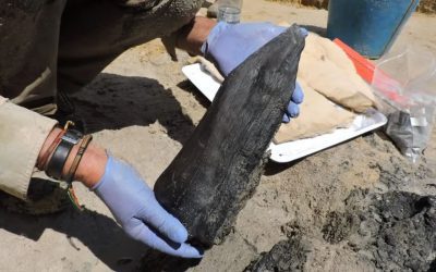 Descubierta la estructura de madera más antigua hecha por humanos y tiene 476.000 años