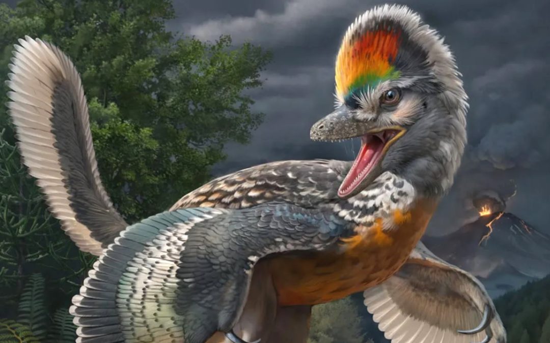 Paleontólogos hallan el posible “eslabón perdido” entre dinosaurios y aves
