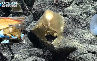 “Misterioso huevo dorado hallado en fondo marino podría ser de una criatura desconocida”, afirman expertos