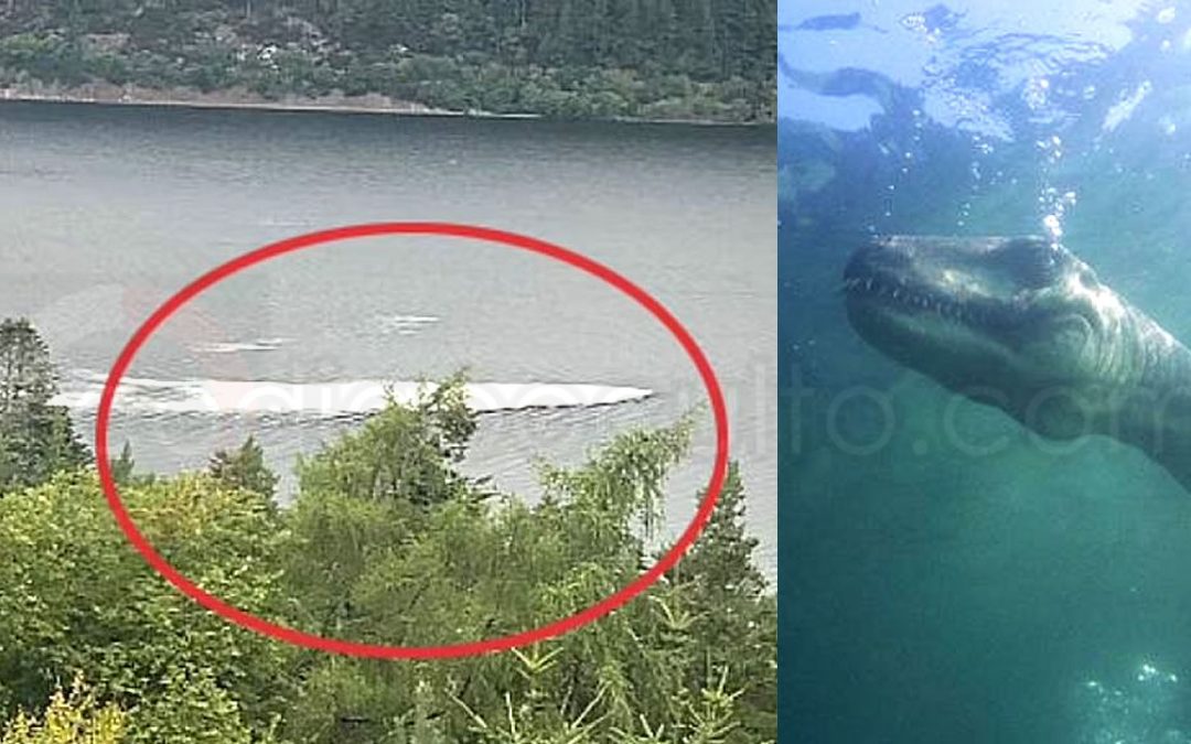 Mujer afirma haber visto al “monstruo” del Lago Ness tras captar una enorme agitación en el agua