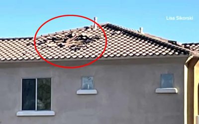 Misterioso objeto no identificado cae y destroza el techo de una casa en Phoenix