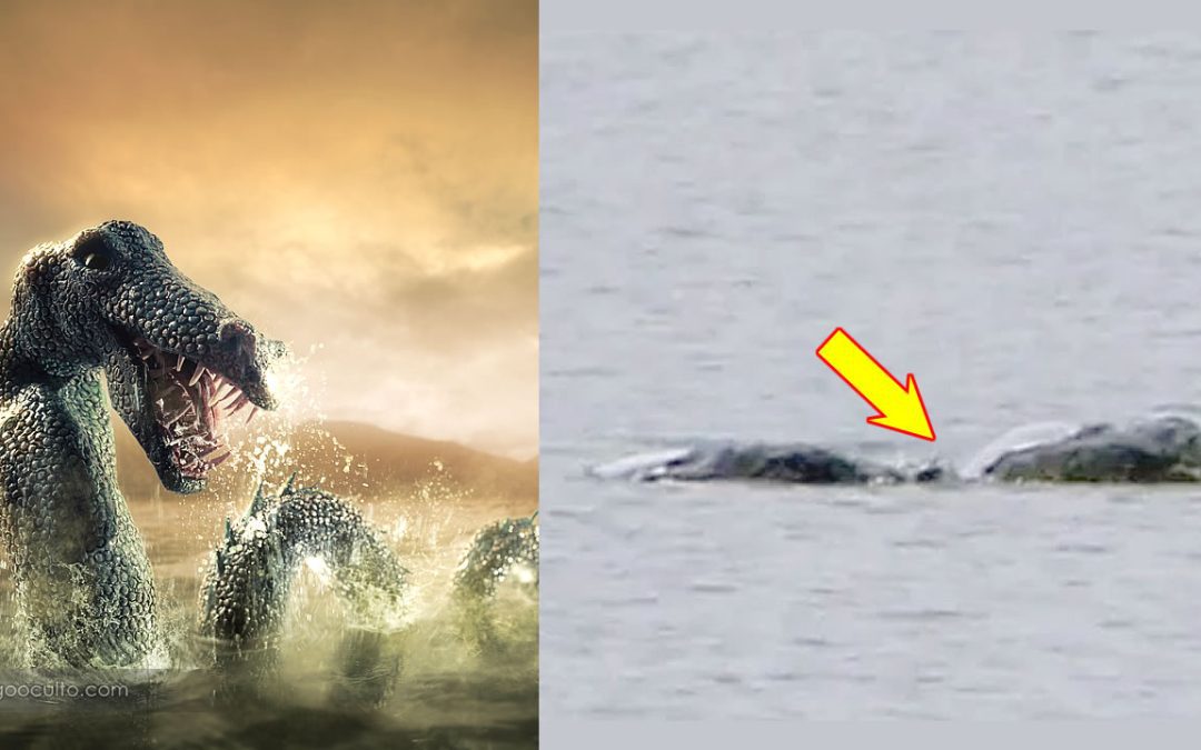Revelan nuevas fotografías de una enorme “criatura” en el Lago Ness