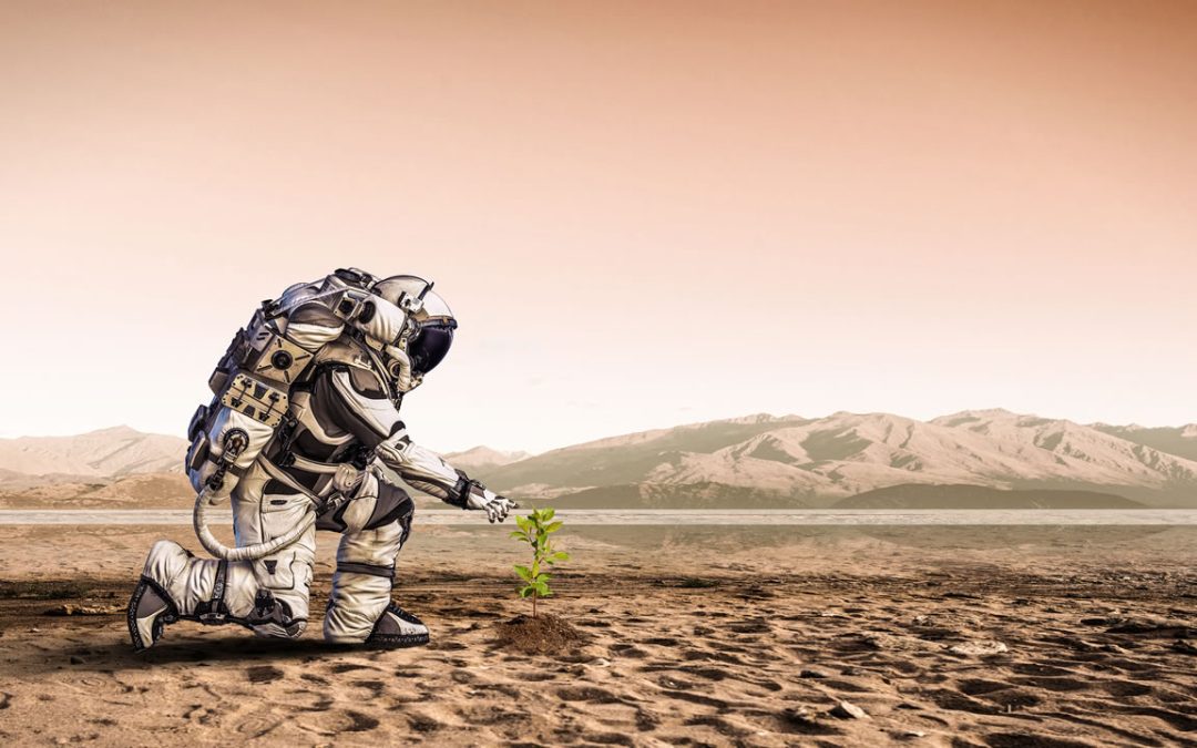 ¿Estamos próximos a que se revele la existencia de vida en Marte? Realizan descubrimiento sorprendente en el Planeta Rojo