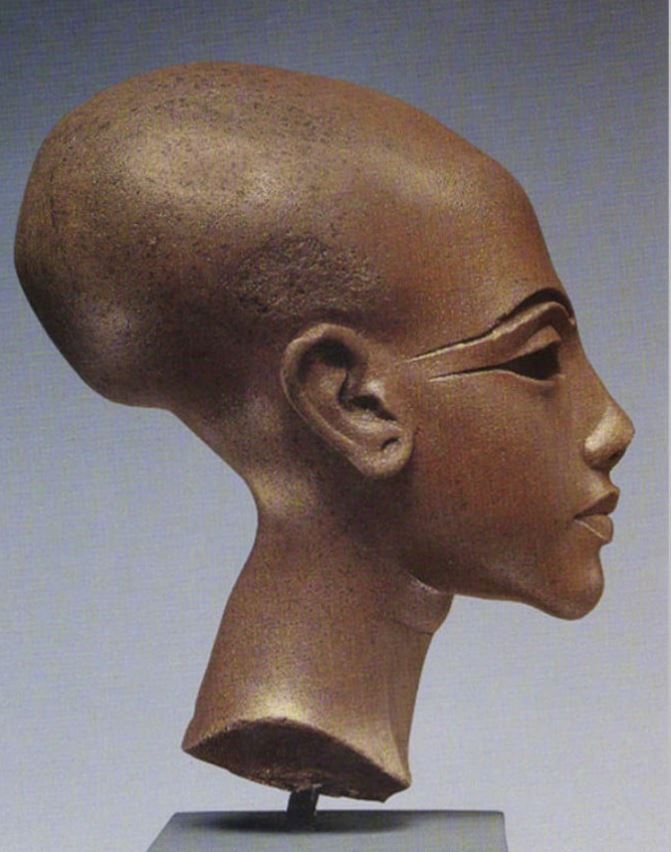 Cabeza de una princesa del antiguo Egipto con el cráneo alargado.