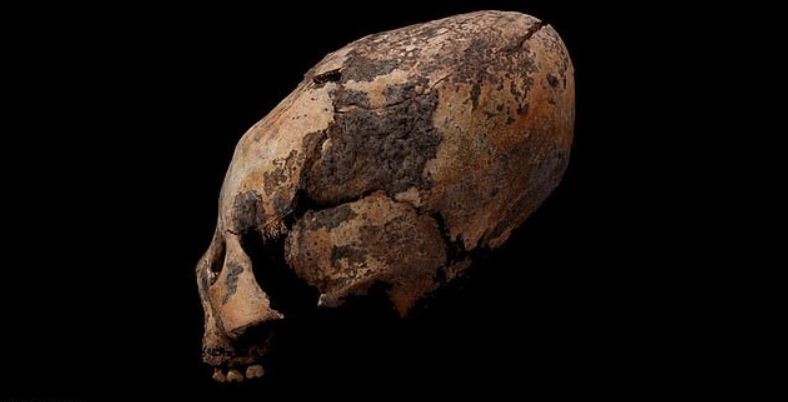 El cráneo M72 tiene entre 6.300 y 5.500 años