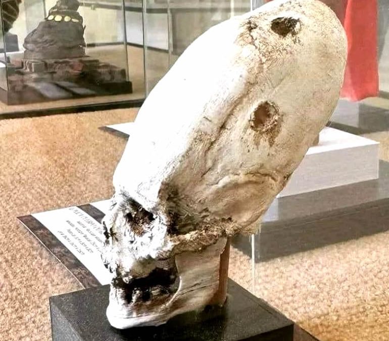 Cráneo alargado hallado en Paracas, Perú