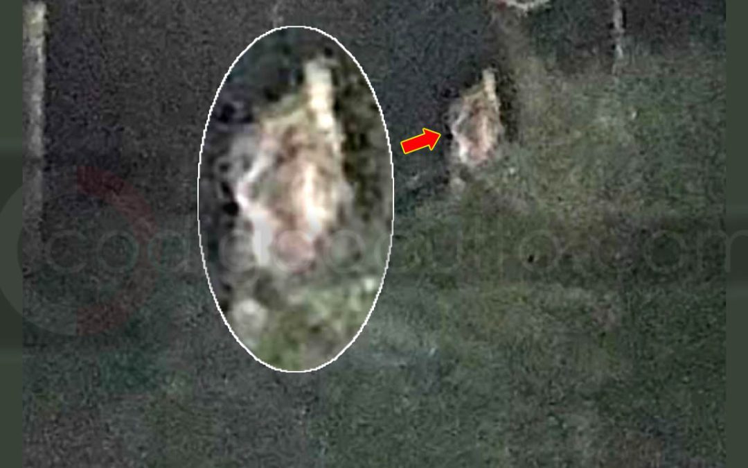Investigadores afirman haber fotografiado una “entidad sobrenatural” en una antigua localidad de Irlanda