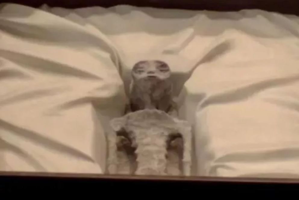 Uno de los especímenes momificados exhibidos en el Congreso de México en septiembre. Los investigadores que presentaron este objeto al gobierno mexicano afirmaron que el 30 por ciento de su ADN era de una especie desconocida.