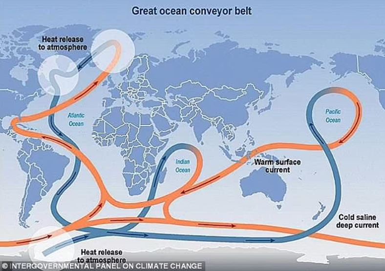 Formalmente conocida como la Circulación de vuelco meridional del Atlántico (AMOC), impulsa la Corriente del Golfo que trae agua caliente del Golfo de México a la costa noreste de EE. UU.