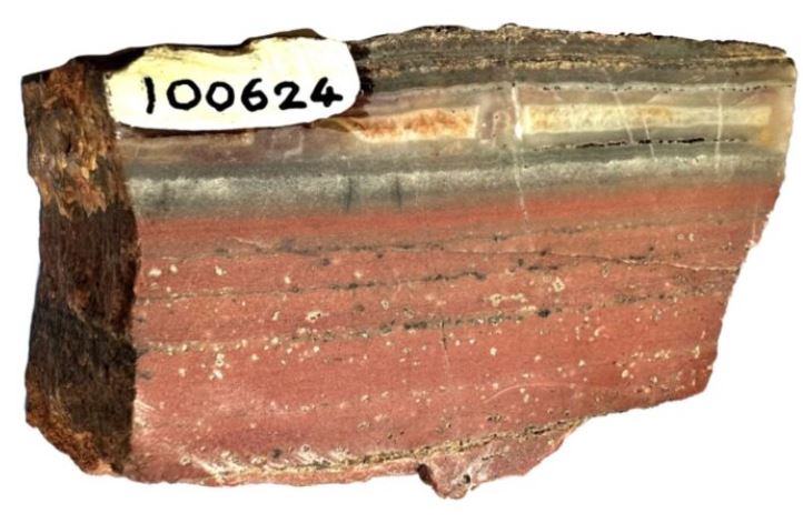 El color rojo del jaspe de 3.490 millones de años se debe a pequeñas partículas de hematita (mineral de óxido de hierro). Las partículas de greenalita y apatita de menos de una milésima de milímetro de longitud están ocultas entre las partículas de hematita, más obvias