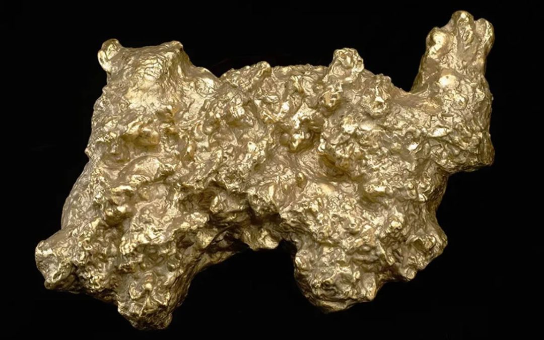 Se encontró la pepita de oro más grande de la historia y pesaba lo mismo que un hombre adulto
