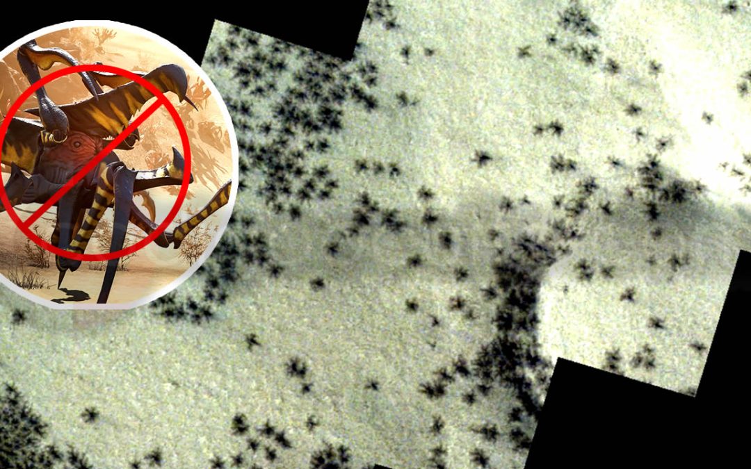 Cientos de “arañas” negras son observadas en la formación llamada “Ciudad Inca” en Marte