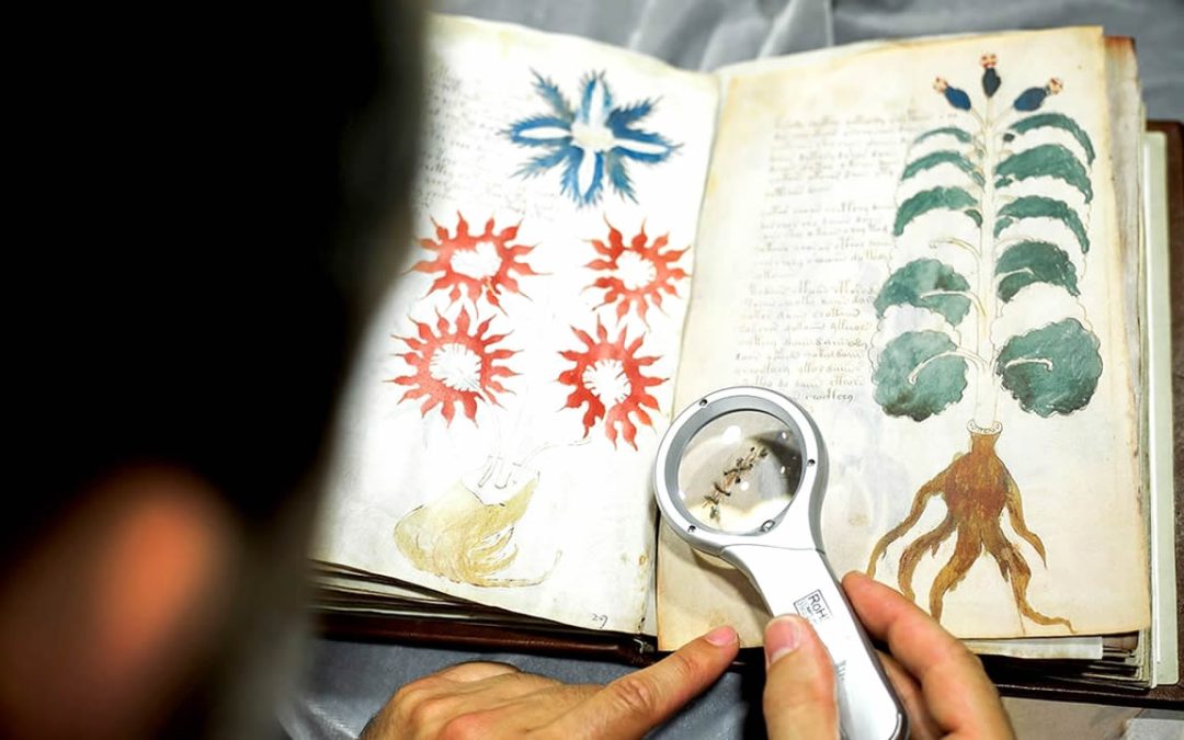 Manuscrito Voynich: académico afirma haber “descifrado” el texto más misterioso del mundo
