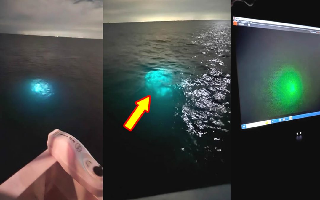 Revelan objeto submarino desconocido que emite potente luz al ser filmado por un barco