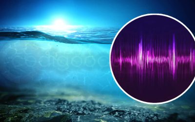 Espeluznante sonido similar a una “voz de mujer” fue grabado en las profundidades del Pacífico