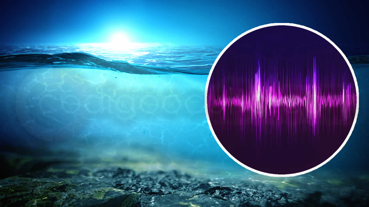 Espeluznante sonido similar a una "voz de mujer" fue grabado en las profundidades del Pacífico