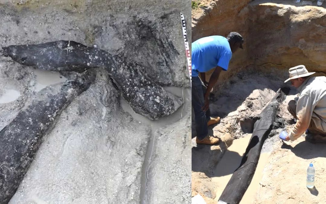 Descubierto en África un artefacto de 500.000 años que reescribe la historia humana