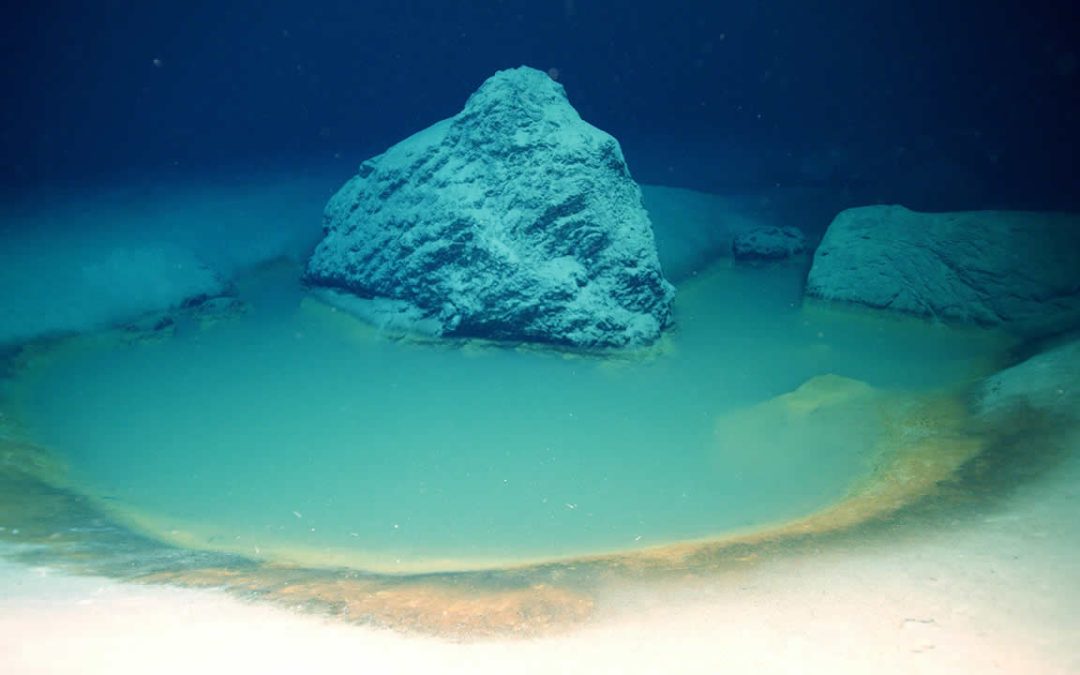 La “piscina de la muerte” descubierta en el fondo del mar que aniquila todo “inmediatamente”