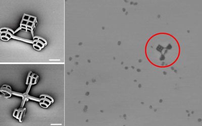 Científicos japoneses diseñan micromáquinas impulsadas por algas unicelulares que podrían entrar al torrente sanguíneo