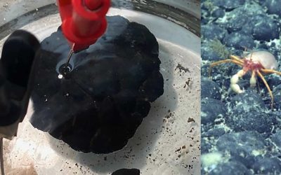 Descubren oxígeno oscuro generado por reacciones químicas en el fondo del océano