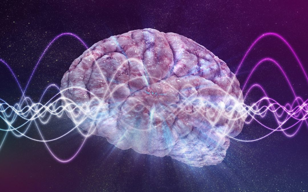 Las fibras nerviosas del cerebro podrían generar entrelazamiento cuántico