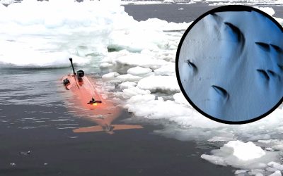 Descubren formas nunca vistas bajo el hielo antártico de hasta 400 metros de largo